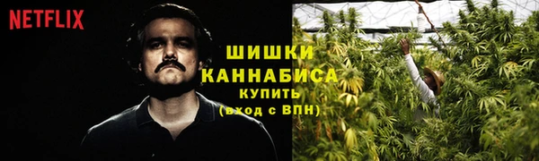 амф Нязепетровск