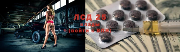 дживик Осинники