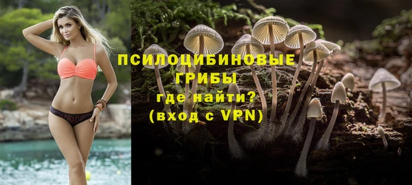 амф Нязепетровск